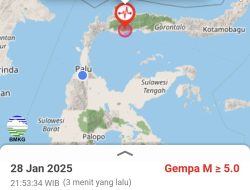 BREAKING NEWS: Gempa 6,1 Magnitudo Guncang Parigi Moutong Sulawesi Tengah