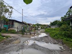 Ketua IKA FKIP Unsulbar Desak Pemda Perbaiki Jalan ke Kampus: Bikin Malu… !