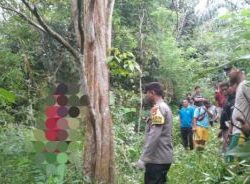 Diduga Depresi, Seorang Pria Tewas Gantung Diri di Desa Keang, Mamuju