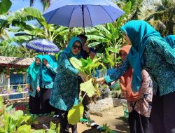 Tekan Angka Stunting, Yayasan Karampuang Serahkan Kebun Sehat Desa di Simbang