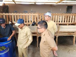 Inspektorat Sulbar Lakukan Monitoring Penyaluran Bantuan Kambing di Polman