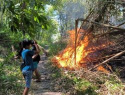 Tiga Hektar Lahan di Pulau Battoa Ludes Terbakar