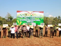 Wujudkan Swasembada, DKPP dan Kementan Gelar Tanam Jagung Serentak