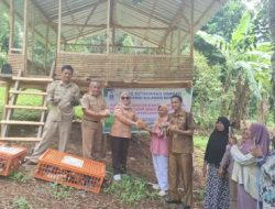 Distapang Bersama Wakil Ketua DPRD Sulbar Salurkan Bantuan Ayam KUB di Kelurahan Bebanga