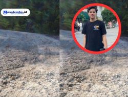Mahasiswa Ulumanda Tuntut Dinas PUPR Sulbar Bertanggungjawab atas Kerusakan Jalan