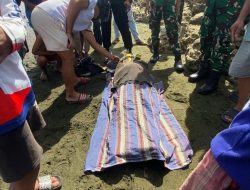 Breaking News: Sesosok Mayat Pria Ditemukan di Pantai Arteri Mamuju