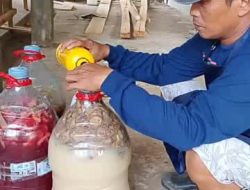 Pemuda Mamuju Ubah Limbah MBG Jadi Peluang Usaha dan Edukasi Lingkungan