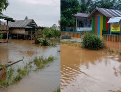 Sekolah dan Rumah Tergenang, BPBD Sulbar Pantau Intensif Banjir Mateng
