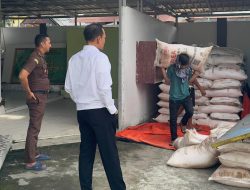 Kejari Polman Gerak Cepat, Pupuk Sitaan Kasus Ekonomi Dilelang dan Disetor ke Negara