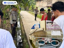 Sesosok Bayi Malang Ditemukan Warga Polewali Sepulang dari Shalat Subuh