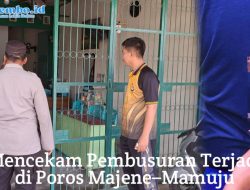 Aksi Brutal Dini Hari, Pengendara Jadi Korban Penyerangan Busur OTK, Polisi Selidiki Dan Buru Pelaku