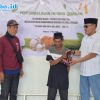 Kejari Polman Sumbangkan Dua Ekor Sapi Kurban, Dibagikan kepada Warga