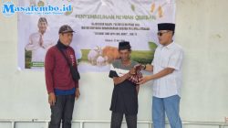 Kejari Polman Sumbangkan Dua Ekor Sapi Kurban, Dibagikan kepada Warga