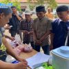 Polres Polewali Mandar Gelar Penyembelihan Hewan Qurban Idul Adha 1447 H