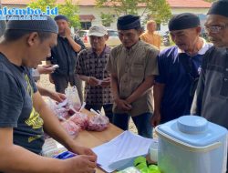 Polres Polewali Mandar Gelar Penyembelihan Hewan Qurban Idul Adha 1447 H