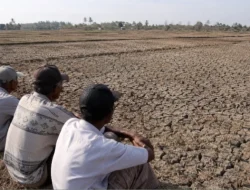 El Nino di Depan Mata, Warga Sumenep Diminta Hemat Air