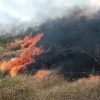 Diperkirakan 10 Hektar Lahan di Pulau Bottoa Polman Ludes Terbakar