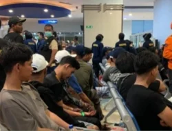 Arus Kedatang Evakuasi Korban KM Mutiara Sentosa II, Ratusan Penumpang Selamat Tiba di Tanjung Perak