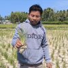 Tercatat 1.084 Hektar Sawah di Polman Kering, Petani Terancam Gulung Tikar