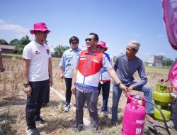 Pertamina Patra Niaga Regional Sulawesi Luncurkan Bright Gas, Solusi  Pompa Irigasi Musim Kemarau Bagi Petani di Gowa