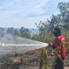 Data BPBD: Kebakaran Lahan di Majene Tak Kurang dari 16 Titik