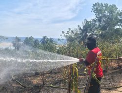 Data BPBD: Kebakaran Lahan di Majene Tak Kurang dari 16 Titik