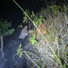 Polsek Tinambung Respon Cepat Kebakaran Lahan di Desa Napo