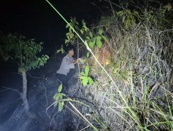 Polsek Tinambung Respon Cepat Kebakaran Lahan di Desa Napo