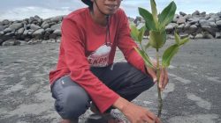 Yusri, Menanam Mangrove, Merawat Penyu, Menjaga Masa Depan Pesisir Polman