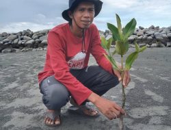 Yusri, Menanam Mangrove, Merawat Penyu, Menjaga Masa Depan Pesisir Polman