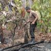 Kebakaran Kebun Kakao di Tutar Berhasil Dipadamkan, Polisi Datangi TKP