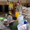 Menembus Medan Terjal, Mantri BRI Tinambung Hadir Jemput Harapan Masyarakat Pelosok