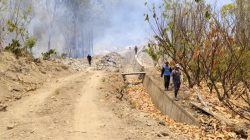 Karhutla Meluas di 2 Kecamatan, Tim Satgas Polman Kewalahan Padamkan Api