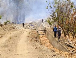 Karhutla Meluas di 2 Kecamatan, Tim Satgas Polman Kewalahan Padamkan Api