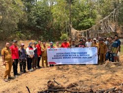 Pertamina Patra Niaga AFT Hasanuddin Perkuat Konservasi Kebun Raya Pucak melalui Pencegahan Karhutla dan Inovasi Auksin Alami