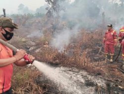 Hari Kedua Penanganan Karhutla di Tommo, BPBD Sulbar Terus Lakukan Pengendalian