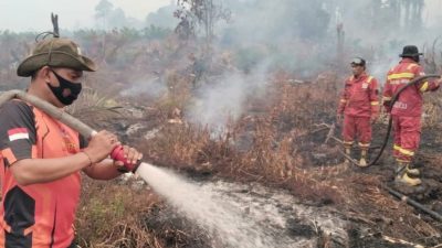 Hari Kedua Penanganan Karhutla di Tommo, BPBD Sulbar Terus Lakukan Pengendalian