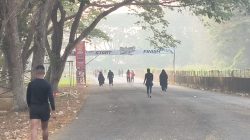 Warga Polewali Gempar, Kabut Asap “Kiriman” Penuhi Udara Pagi