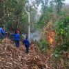 BPBD Sulbar Terima Laporan Kebakaran Lahan Seluas 20 Hektare di Anreapi Polman
