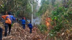 BPBD Sulbar Terima Laporan Kebakaran Lahan Seluas 20 Hektare di Anreapi Polman