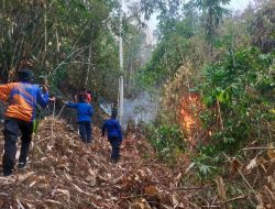BPBD Sulbar Terima Laporan Kebakaran Lahan Seluas 20 Hektare di Anreapi Polman
