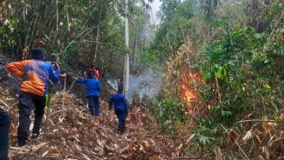 BPBD Sulbar Terima Laporan Kebakaran Lahan Seluas 20 Hektare di Anreapi Polman