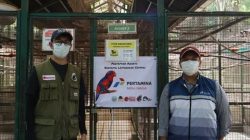 Pertamina Patra Niaga Regional Sulawesi Perkuat Konservasi Burung Nuri Talaud melalui Edukasi dan Program Breeding di Bitung