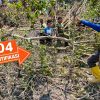 Kecelakaan Kerja, Seorang Petani di Polman Tewas Tertimpah Pohon