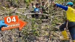 Kecelakaan Kerja, Seorang Petani di Polman Tewas Tertimpah Pohon