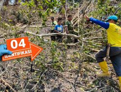 Kecelakaan Kerja, Seorang Petani di Polman Tewas Tertimpah Pohon